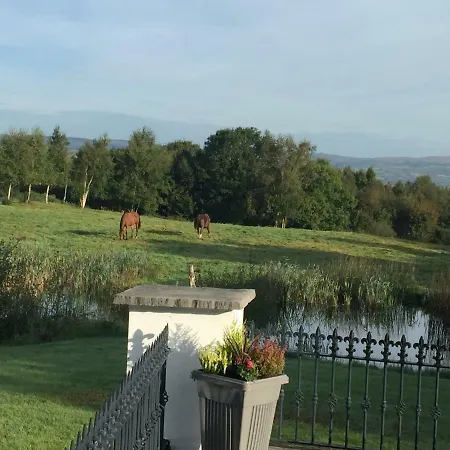 Bed & Breakfast Kerstin'S B&B Raheen Bridge